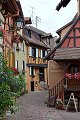 Eguisheim elzas alsace vogezen vosges france frankrijk french Haut-Rhin Haut Rhin maison maisons à colombages half-timbered house houses Saint-Léon-IX